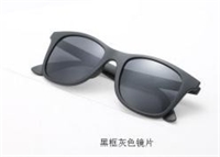 近视/阳光两用防护太阳镜 L013