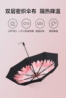 双层小黑伞系列三折伞