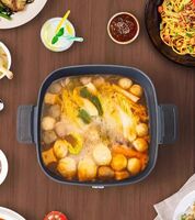 多功能料理锅 TSK-8228AG2
