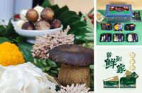 谛品居六菌鲜