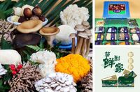 十二菌鲜 珍品鲜菌精装礼盒 经典款
