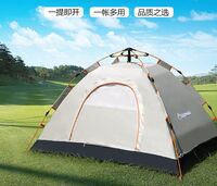 自动帐篷（3-4人）DFJ-112