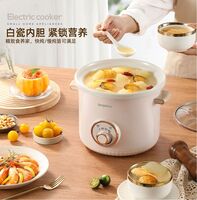 多功能电炖锅 LD-DG3235