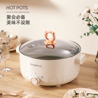 多功能电火锅 LD-HG313G（新款）