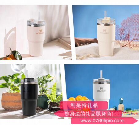 STANLEY探险系列H2.0不锈钢真空吸管杯591ml