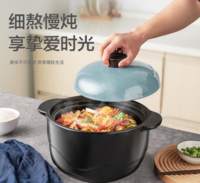 挚爱系列·浅汤煲RXC35A1TG