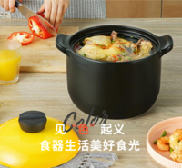 甄陶Ⅲ系列浅汤煲·蜜黄RXC45B3Q