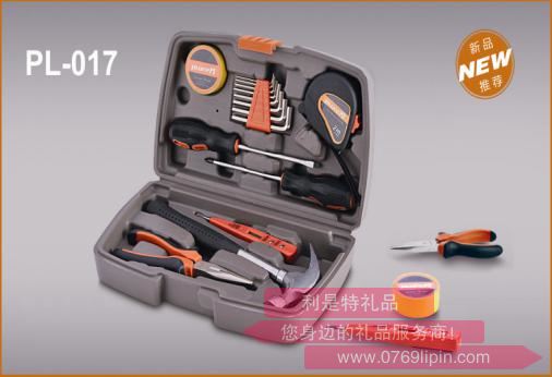 16件家用工具组合套装PL-017.jpg